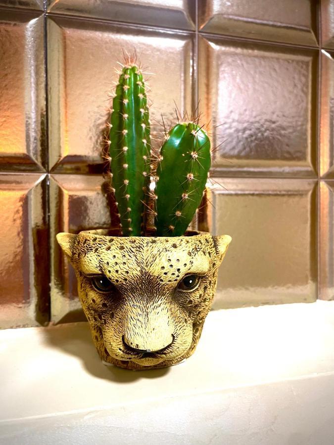 Coralcanteras Loft ラスパルマス・デ・グランカナリア エクステリア 写真